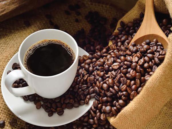 خرید قهوه اصل برزیل با قیمت ارزان