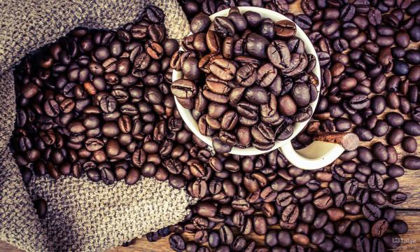 معیارهای قیمت گذاری دانه قهوه