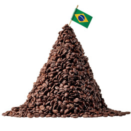 دانه و پودر قهوه برزیل