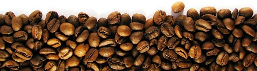 فروش عمده قهوه بدون کافئین