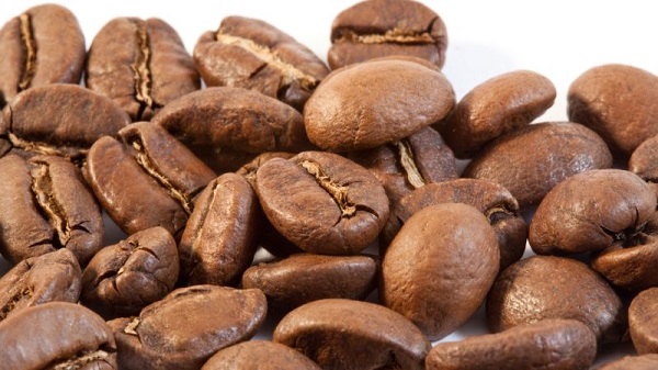 بهترین دانه قهوه