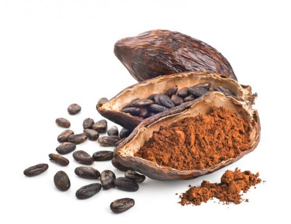 صادرات پودر کاکائو 9 به کشور های آسیایی