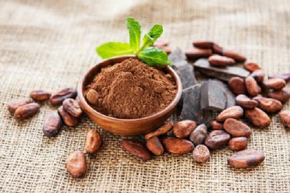 تولید کننده پودر کاکائو با کیفیت مناسب در بازار داخلی
