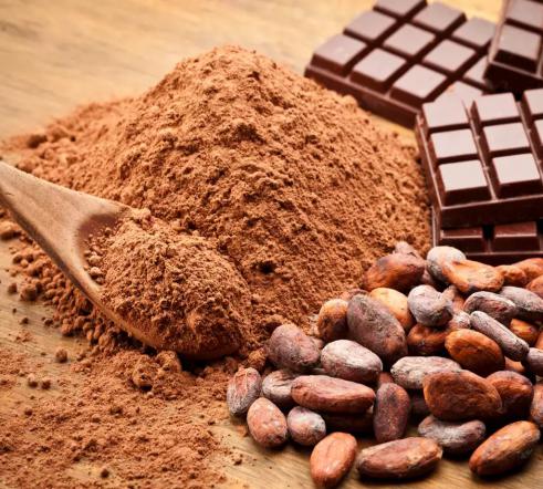صادرات پودر کاکائو به کشور های همسایه