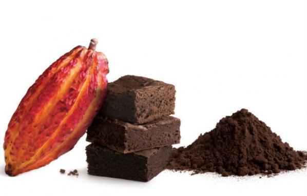 توزیع انواع پودر کاکائو آلمانی در بازار جهانی