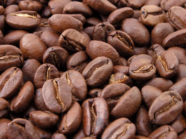 دانه قهوه ترک چه تفاوتی با دیگر قهوه ها دارد؟