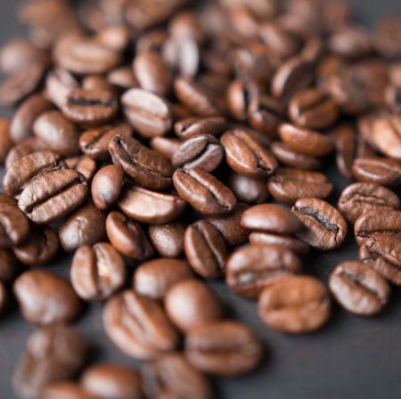 دانه قهوه اسپرسو در چه مناطقی کشت می شود؟