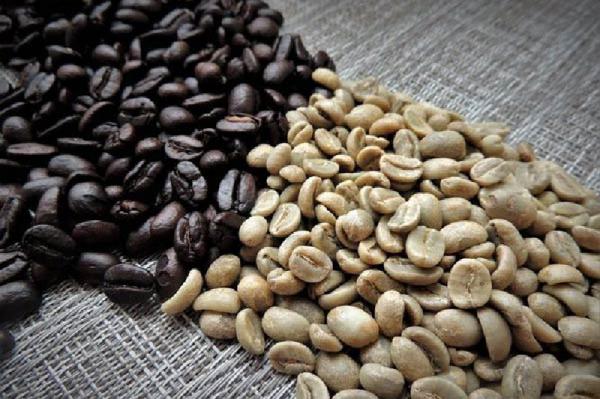 قیمت خرید قهوه خام در بازار کشور