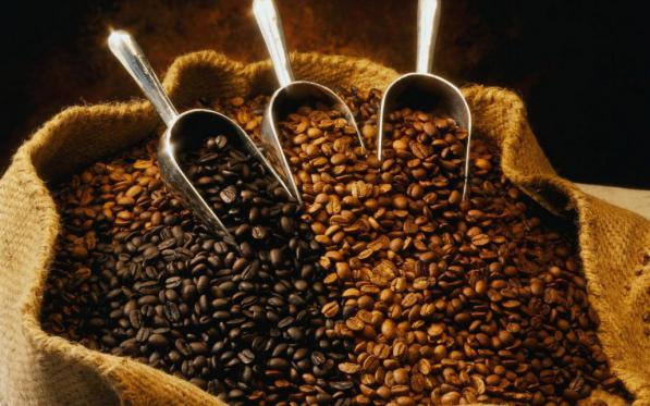 نمایندگی عرضه کننده قهوه توبک