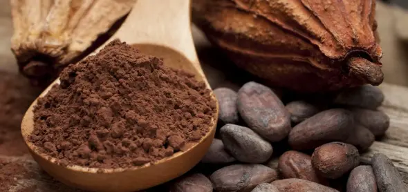 پودر کاکائو صادراتی چه مشخصه هایی دارد؟