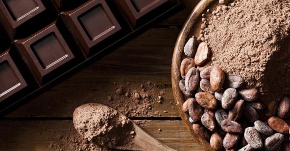صادرات پودر کاکائو اس 9 به کشور های همسایه