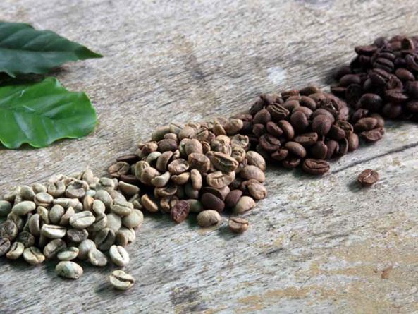نمایندگی فروش دانه قهوه رست شده در کشور