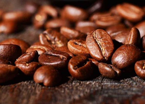 منظور از دانه قهوه روبوستا چیست؟