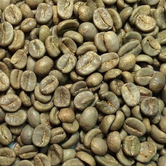بازار عمده فروشی قهوه سبز در ایران