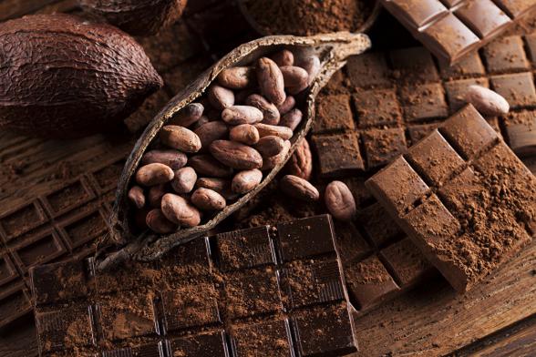 عوامل موثر بر کیفیت انواع پودر کاکائو