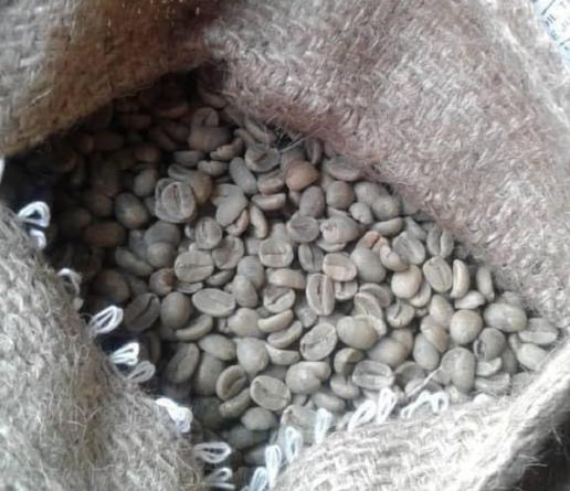 بررسی عطر دانه قهوه مکزیکی