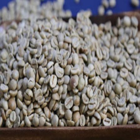 بررسی مشخصات دانه قهوه مرغوب