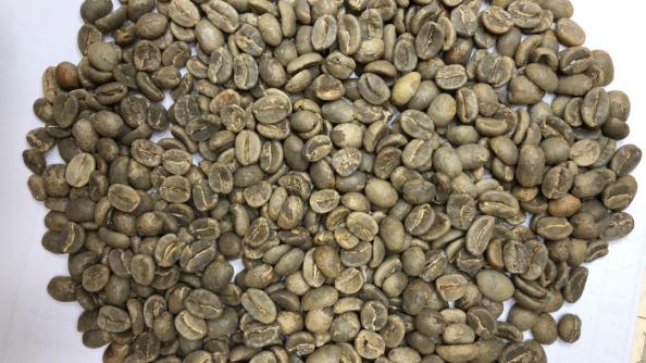 بازار تولید دانه قهوه سیاه اعلا