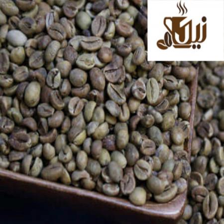 کاربردهای دانه قهوه خام چیست؟
