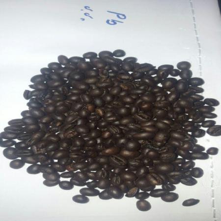 تولیدکننده دانه قهوه رست شده فله ای