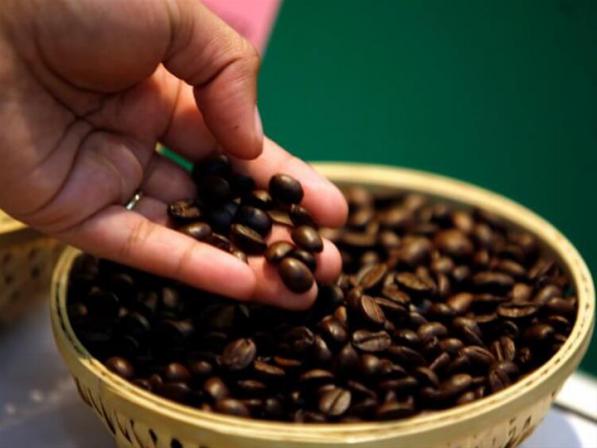 روش های عرضه دانه قهوه با کیفیت