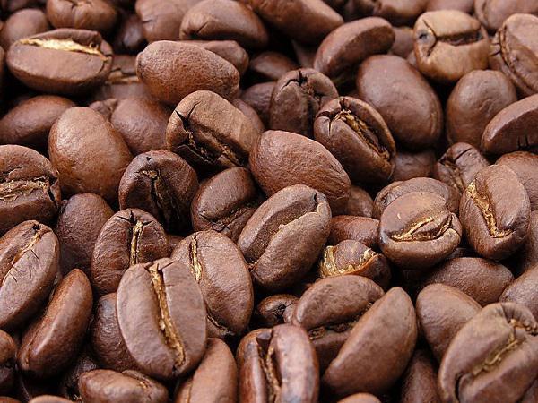 بهترین نوع دانه قهوه برای عرضه