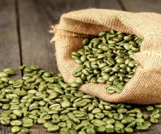 آنچه باید درباره عرضه دانه قهوه سبز بدانیم
