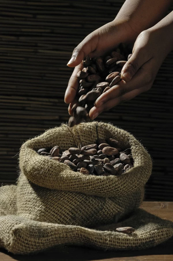 دانه قهوه رست شده عربیکا